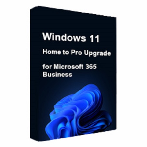Windows 11 Home to Pro Upgrade for Microsoft 365 Business (CSP License) - Image 2