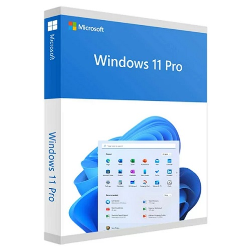 Microsoft Windows 11 Professional 64 Bit OEM DVD Pack License