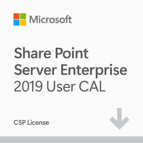 Microsoft SharePoint Enterprise 2019 User CAL (CSP)
