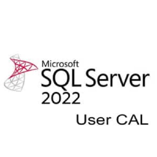 Microsoft SQL Server 2022 - 1 User CAL (CSP License)