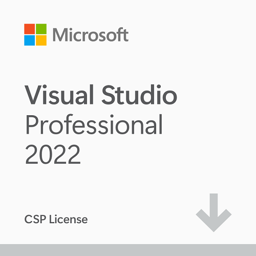 Microsoft Visual Studio 2022 Professional (CSP License)