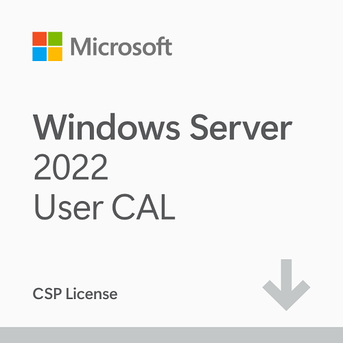 Windows Server 2022 CAL - 1 User CAL - 3 year (CSP)