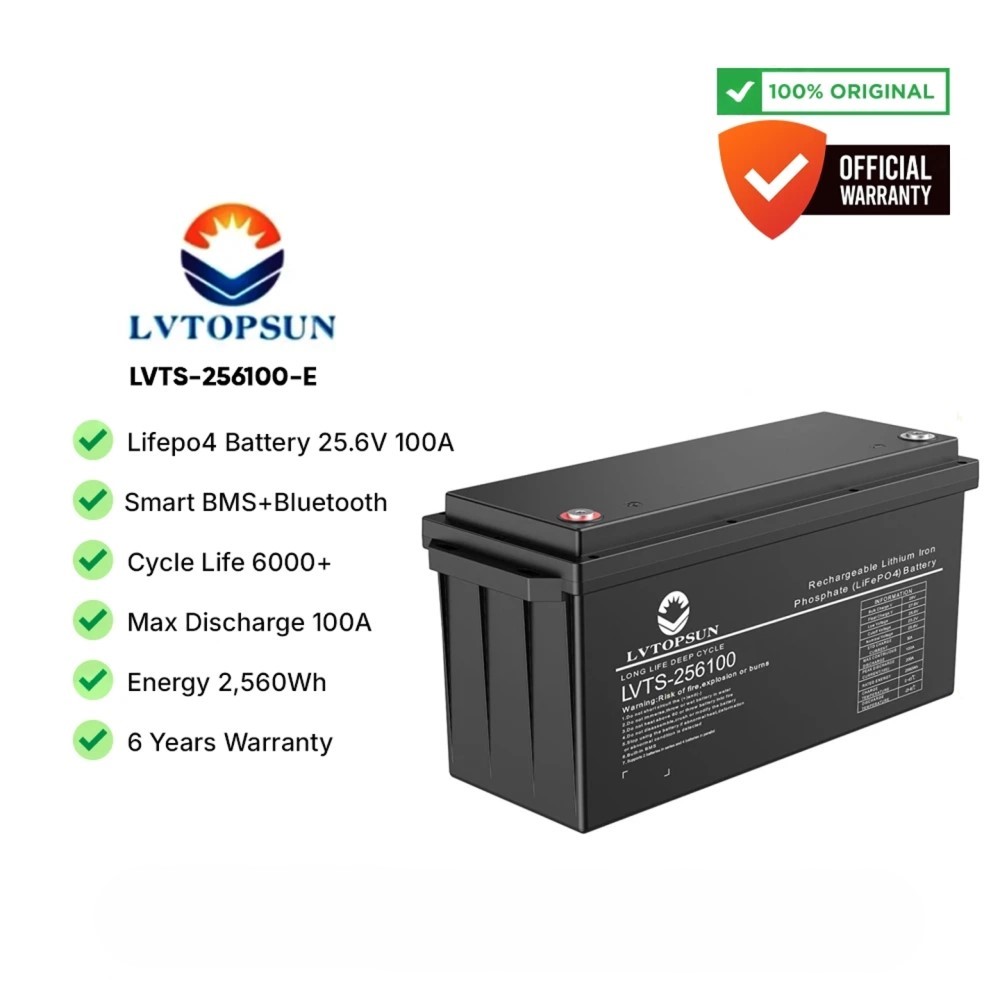 LVTOPSUN 25.6V 100Ah 2.56 kWh Lithium Iron Phosphate Battery (ABS Case)